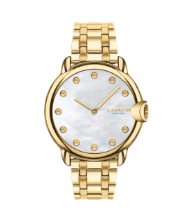 นาฬิกา COACH 14503987 WATCH